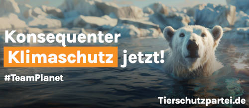 Thekenverblendung gestaltet für ökologischen Infostand Klimaschutz